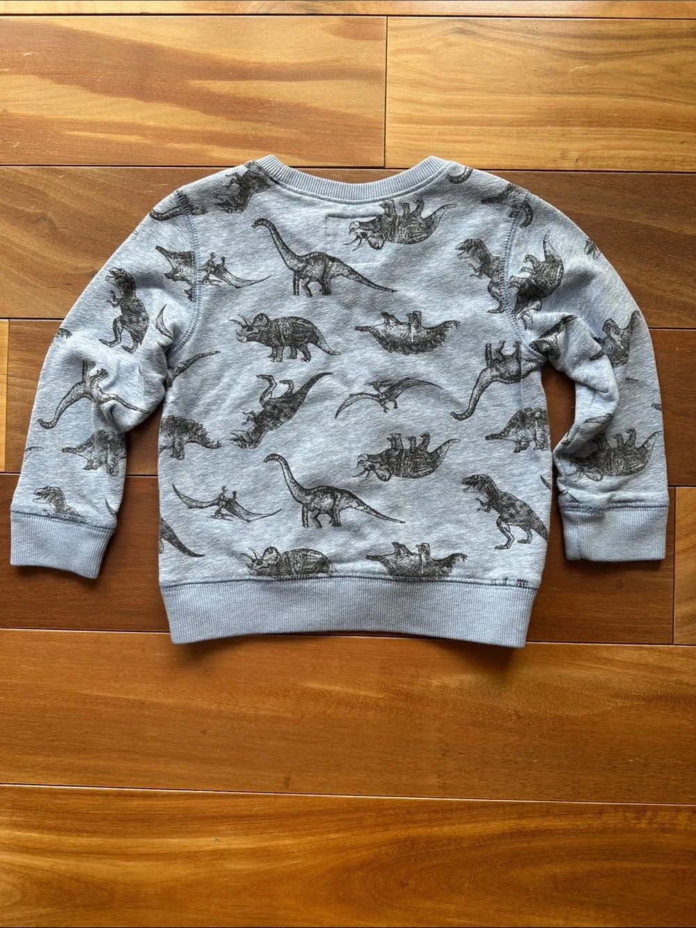 OshKosh B'gosh Light Blue Dinosaur Crewneck Sweatshirt 3T